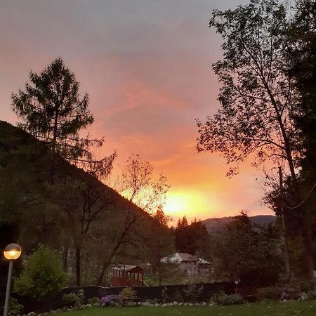 Soggiorno Vacanze Stella Alpina Temù 外观 照片