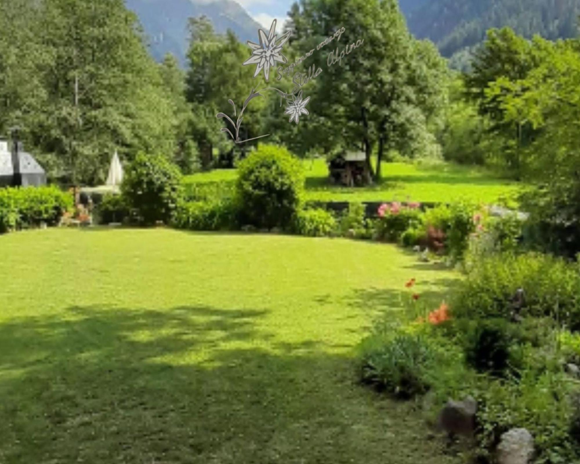 Soggiorno Vacanze Stella Alpina Temù 外观 照片